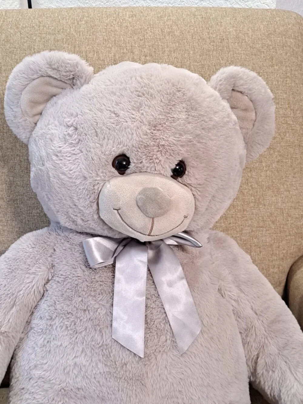 Large Plush Teddy Bear, very soft